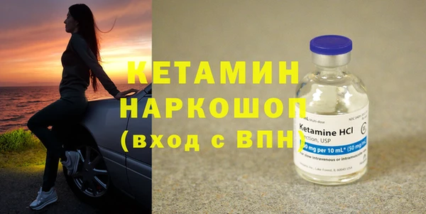 сатива Белокуриха
