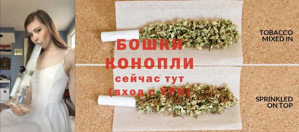 сатива Белокуриха