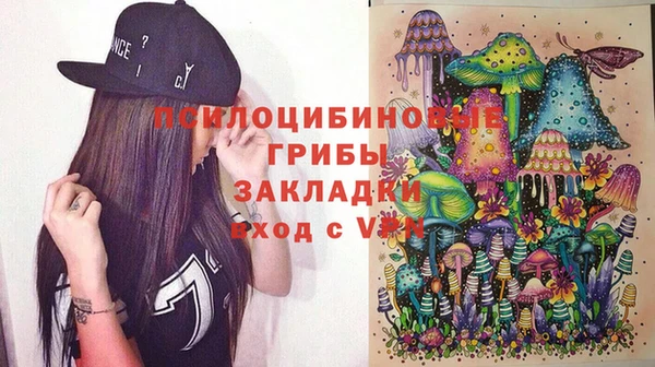 сатива Белокуриха
