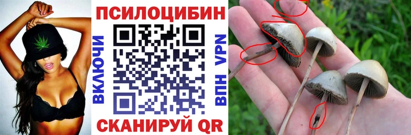 где купить Верхний Тагил Псилоцибиновые грибы ЛСД